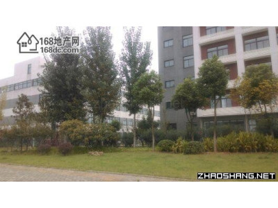 武汉开发区海关旁700m2独栋钢构厂房