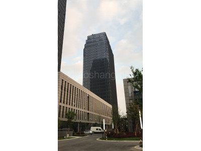 湖州南浔地标建筑双子塔30000平商业+写字楼，招租，政策优厚