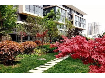 河南洛阳市涧西区100-1000㎡办公出租，资源丰富