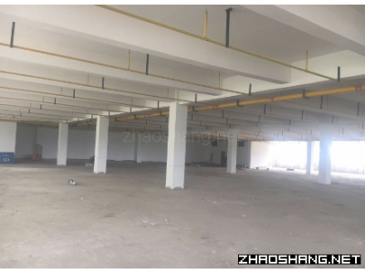 武汉市葛店开发区4000平米厂房出租丨可分租
