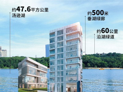 湖北武汉江夏区MAX科技园 企业独栋 全景高层 全国招商中