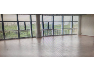 成都龙泉驿区303.77平米写字楼出租 大开间 地铁上建 价格面议 交通方便