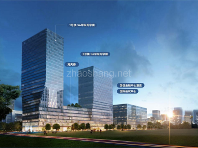 国信金融中心-新楼，可享政策，100㎡起步，崂山区政府对面