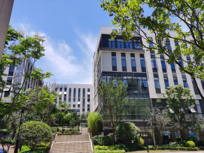 岳麓区厂房出售岳麓区湘江智谷人工智能科技新城独栋多层研发/生产/办公楼出售