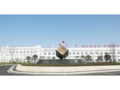 湖北电镀工业园华中表面处理循环经济产业园厂房出租 全新厂房