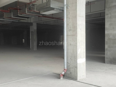南昌新建区50000平米仓库出租 运输便捷 可仓储可生产 交通便利 价格面议