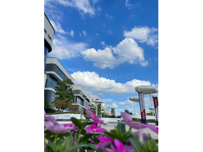 武汉江夏区630平米写字楼出售 大开间 交通便利 布局合理 优惠大促