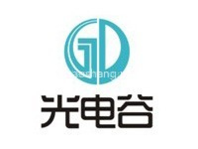 武汉长咀光电子工业园