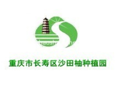 重庆市长寿区沙田柚种植园