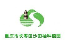 重庆市长寿区沙田柚种植园