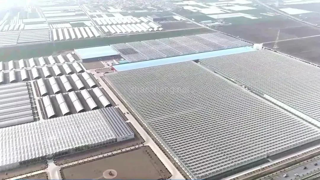 5亿！谷川联行助力兰陵链式思维招商 