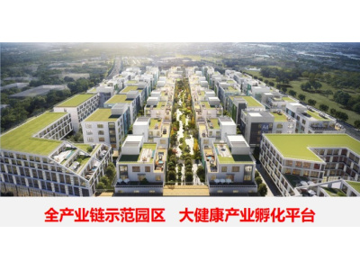 出租光谷东江夏东区周边大健康产业用房