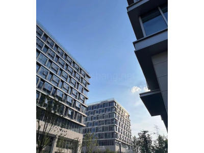 超长免租期  豪华装修  电梯口 地铁口 超大老板间国企直租装修天花板开发区核心甲级纯写楼