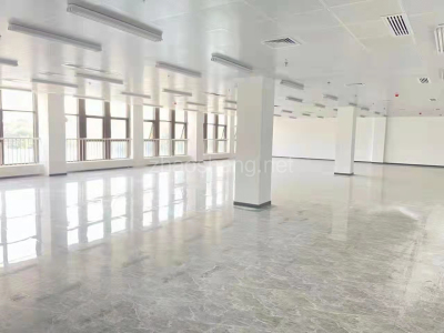 阜阳仓库出租 附近厂房租赁 太和经开区办公商务楼出租价格 可环评 可分租