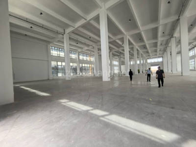 河北厂房出租邯郸大名县新建食品产业园出租